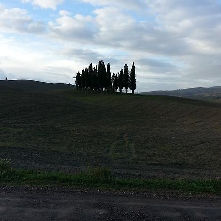Passaggio In Val D' Orcia Leilighet Torrenieri Eksteriør bilde