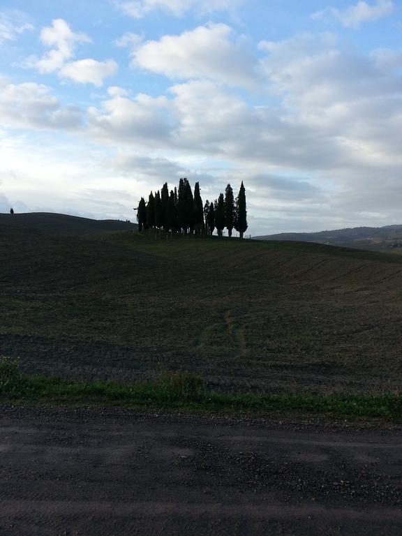 Passaggio In Val D' Orcia Leilighet Torrenieri Eksteriør bilde