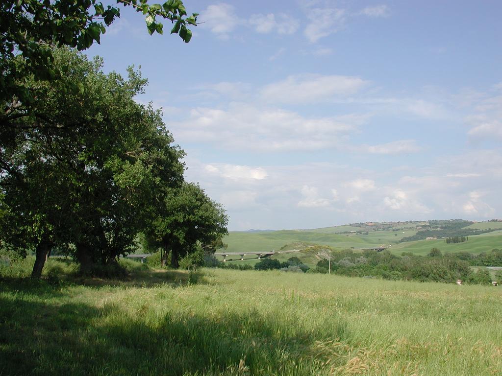 Passaggio In Val D' Orcia Leilighet Torrenieri Eksteriør bilde
